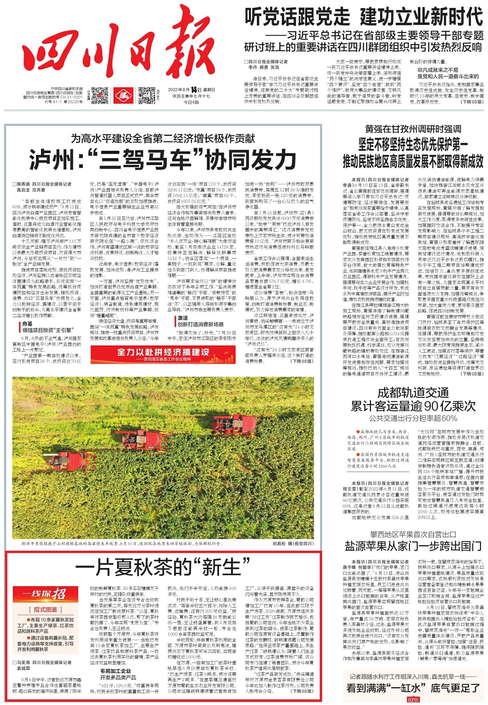 紫阳和平富硒茶