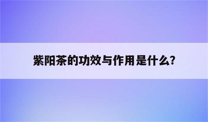 紫阳茶的功效与作用是什么？