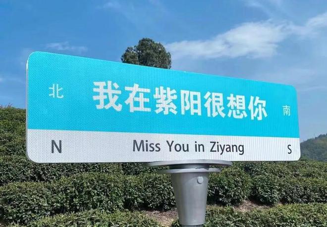 紫阳富硒茶旅游