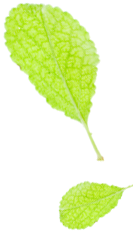 赞美安康富硒茶