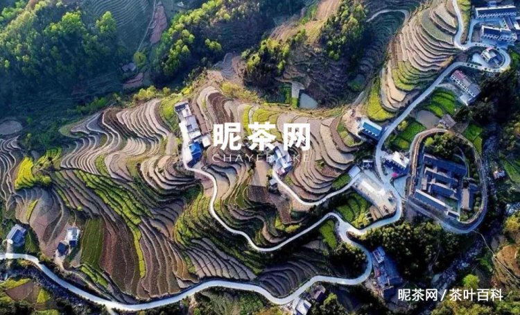  *** 富硒茶属于什么茶( *** 富硒茶是什么茶)  第1张