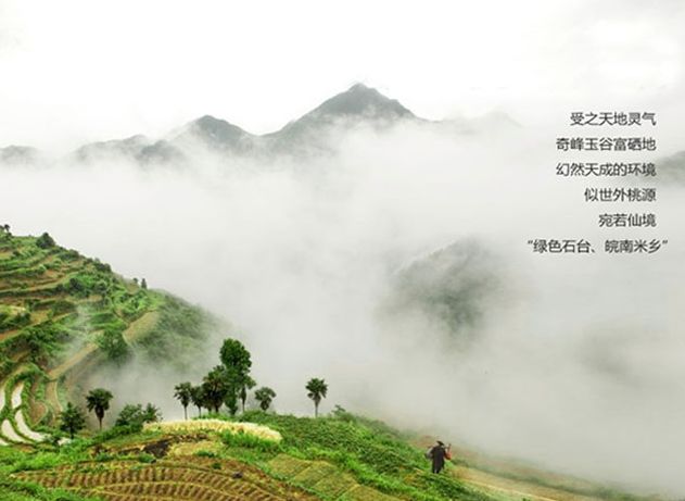 富硒茶啤酒河南