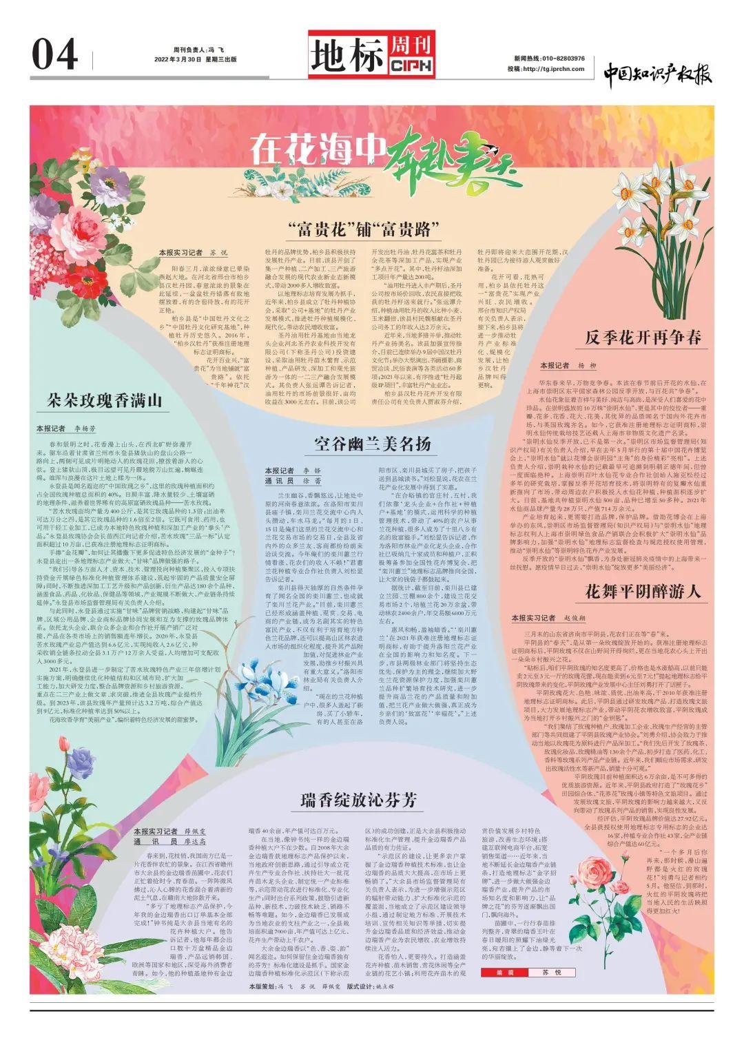 金华富硒玫瑰茶