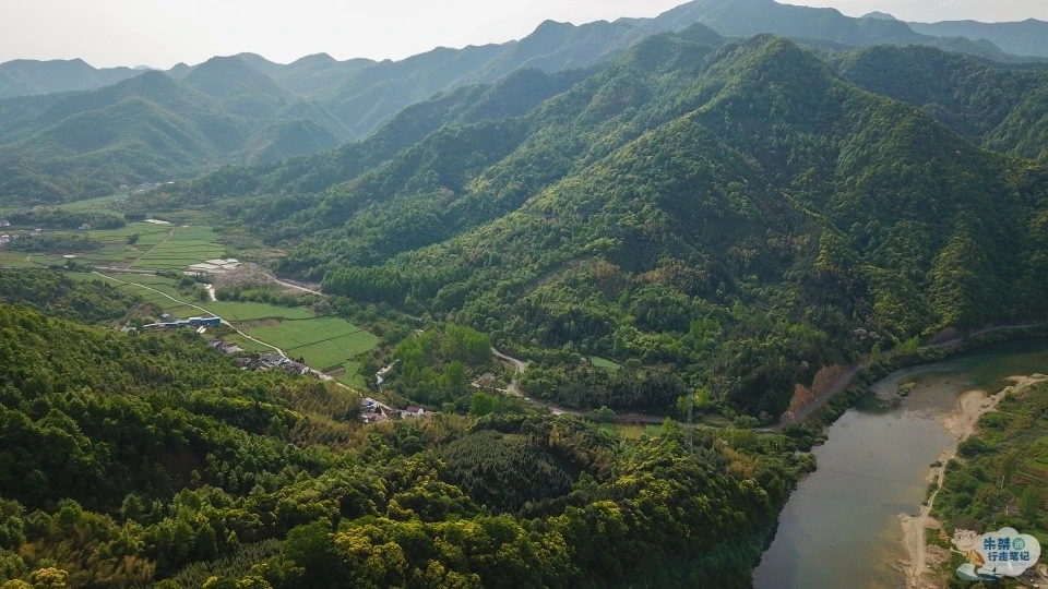 安徽滁州富硒茶