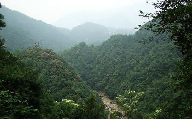 霄坑村地貌