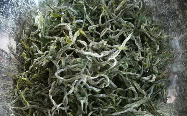 霄坑绿茶干茶