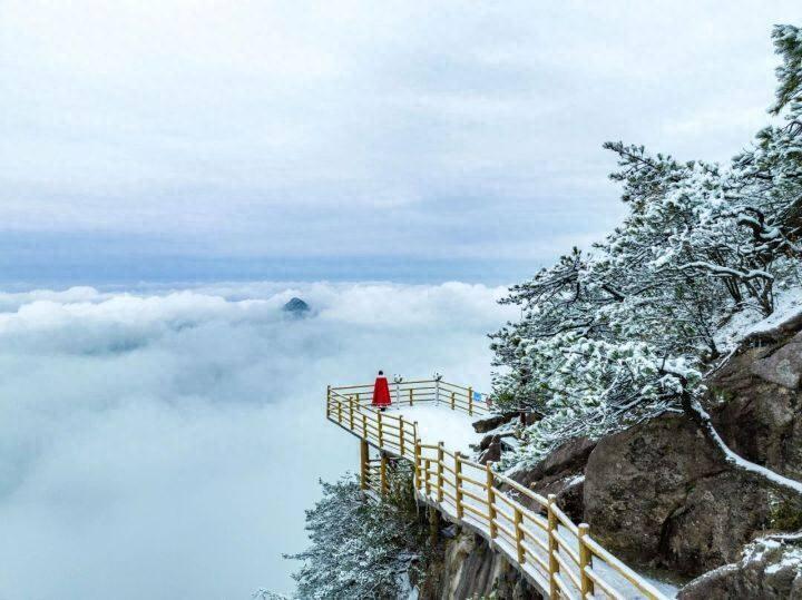 江西高山富硒茶