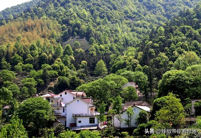 石台富硒茶味道