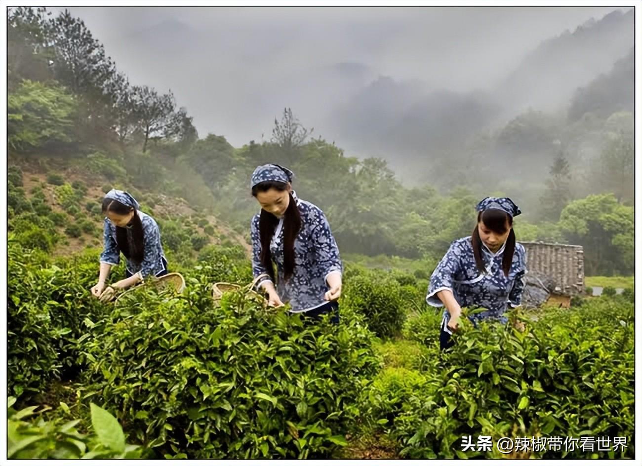 石台富硒茶味道