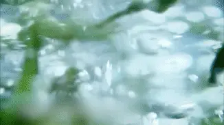 紫阳富硒茶来源