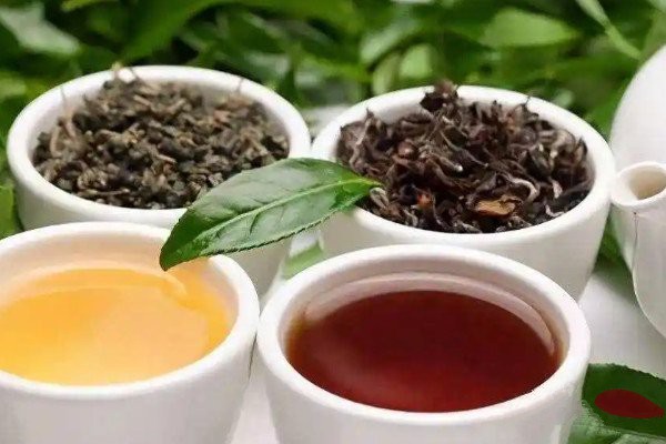 海南白沙富硒茶