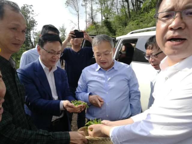 南昌富硒茶公司