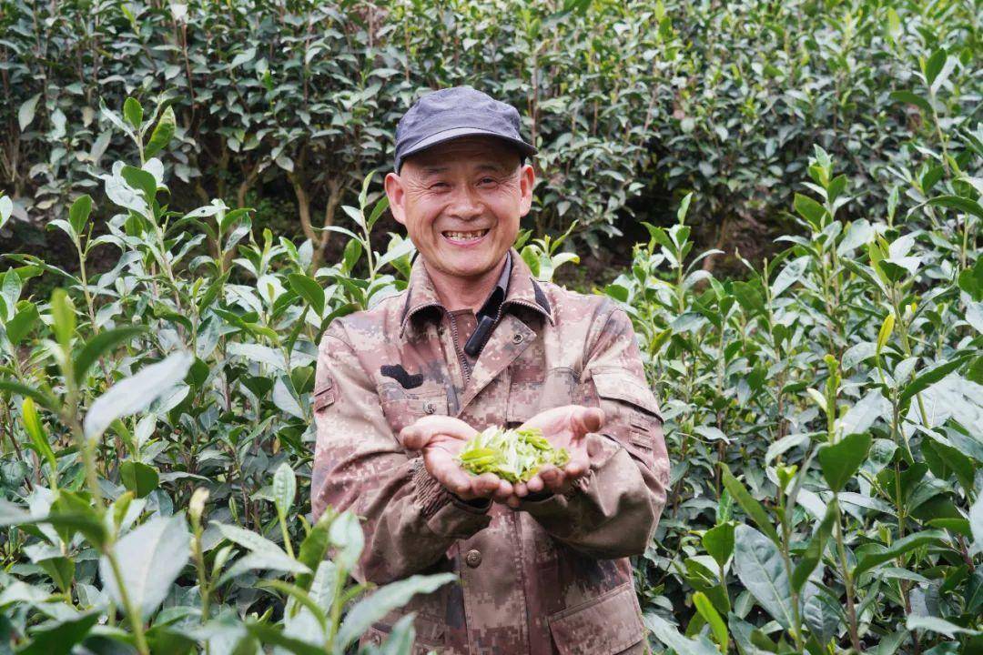 安康富硒茶公司