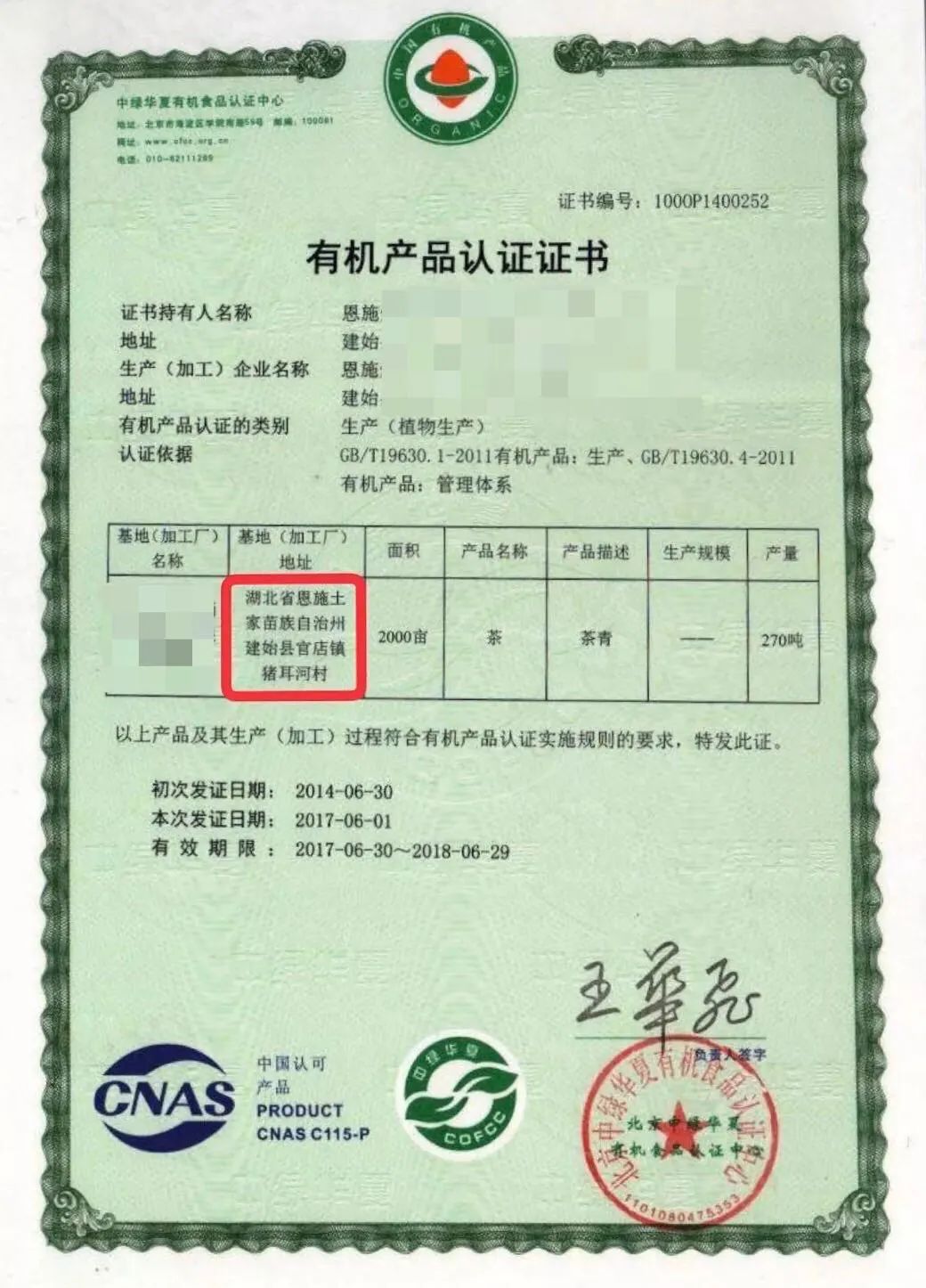 恩施富硒茶属于