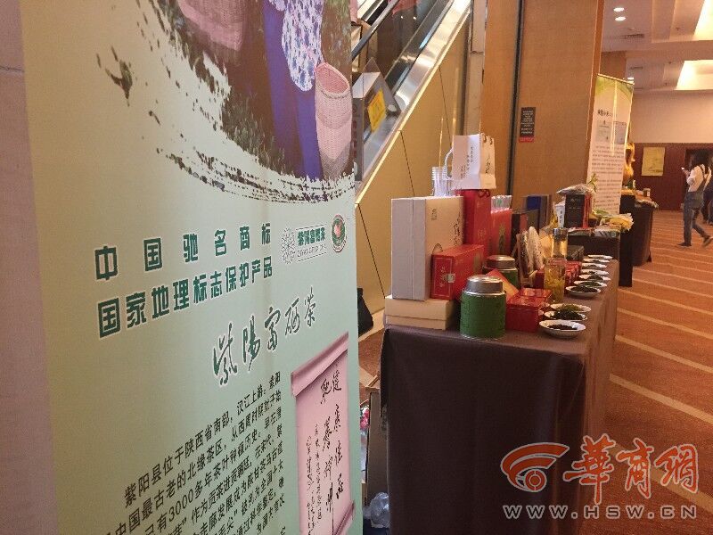 陕西富硒茶央视