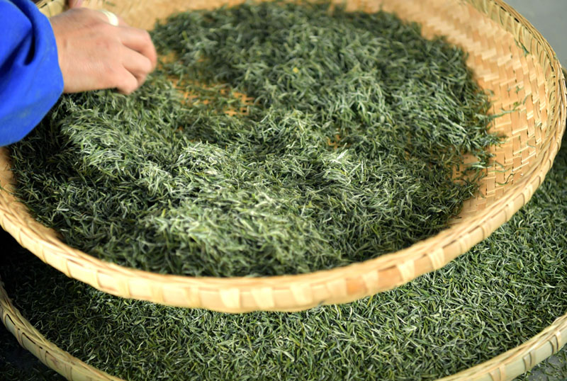 湖北富硒茶功能