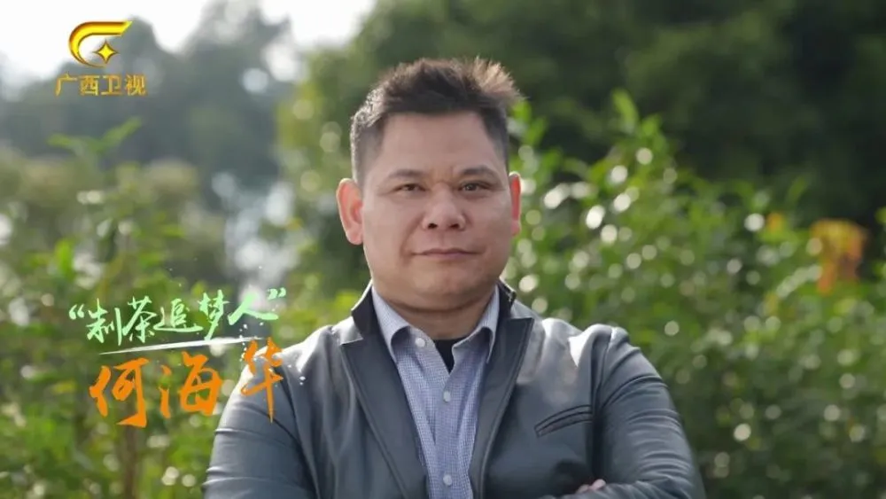 福建富硒桑叶茶
