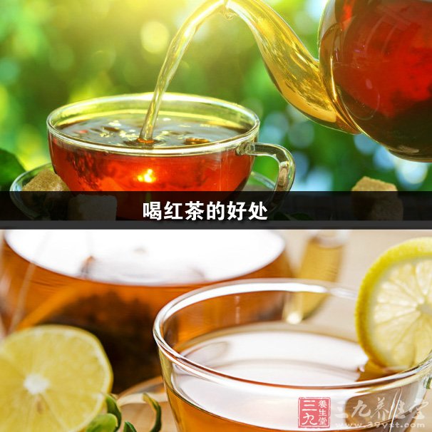 富硒茶红茶价格