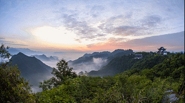 开阳富硒茶加工