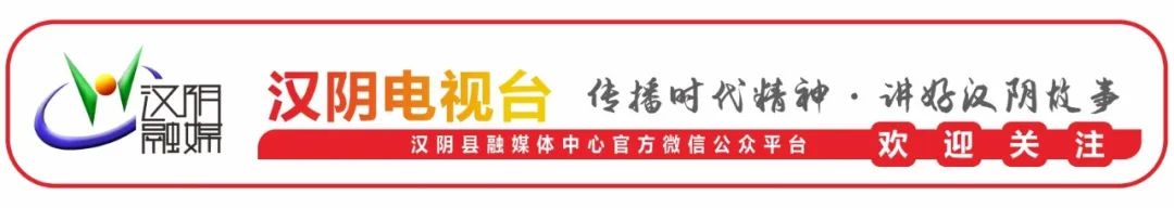 汉阴凤凰富硒茶