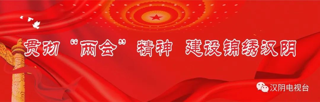 汉阴凤凰富硒茶