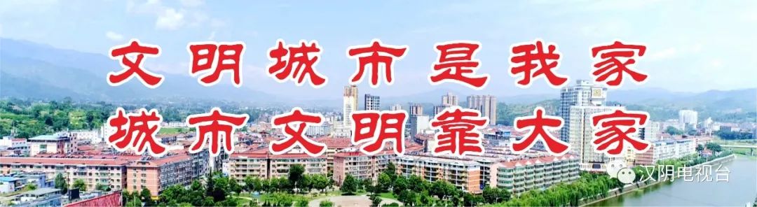汉阴凤凰富硒茶