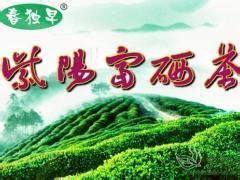 紫阳富硒茶形状