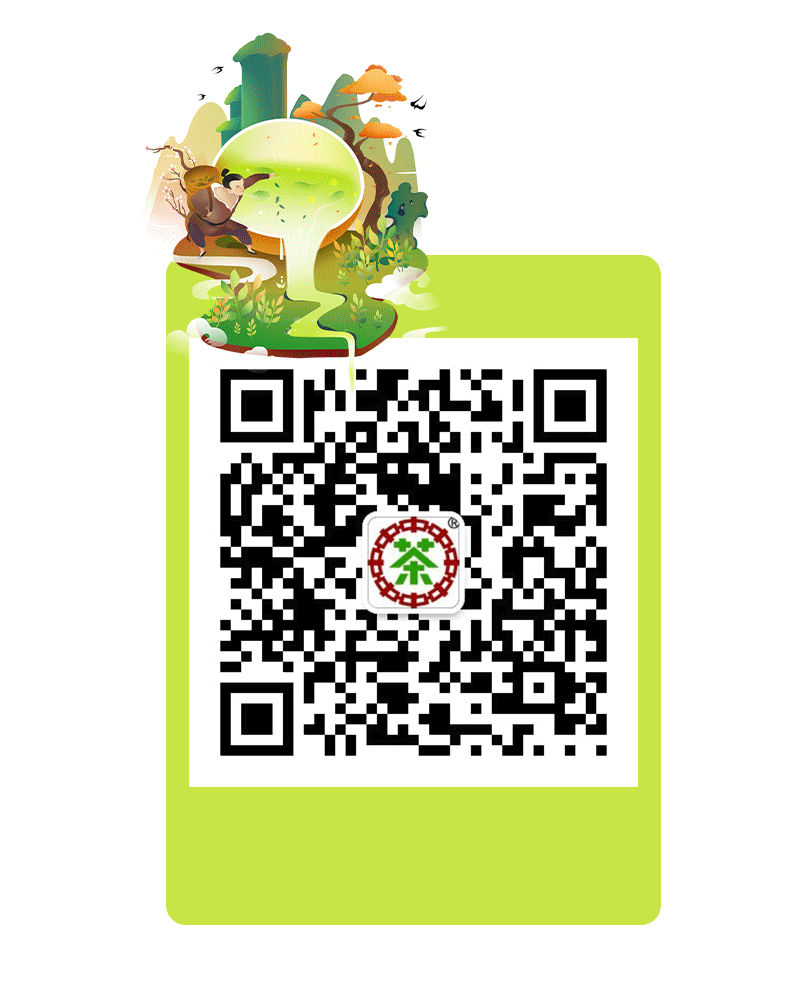 紫阳富硒茶怎样