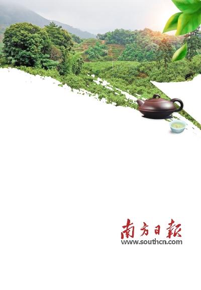 潮州富硒有机茶