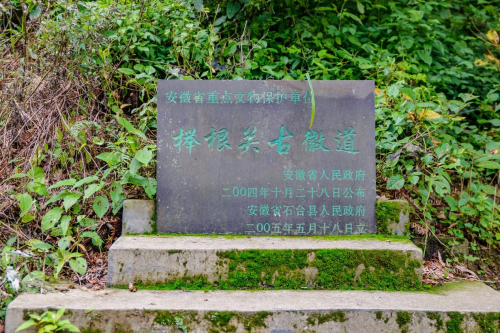 春游江淮请您来丨大山深处的“醉氧仙境”，安徽有你向往的桃源