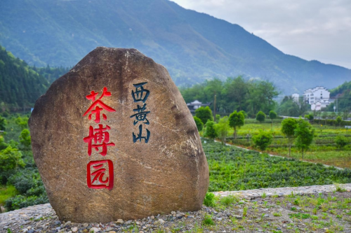 春游江淮请您来丨大山深处的“醉氧仙境”，安徽有你向往的桃源