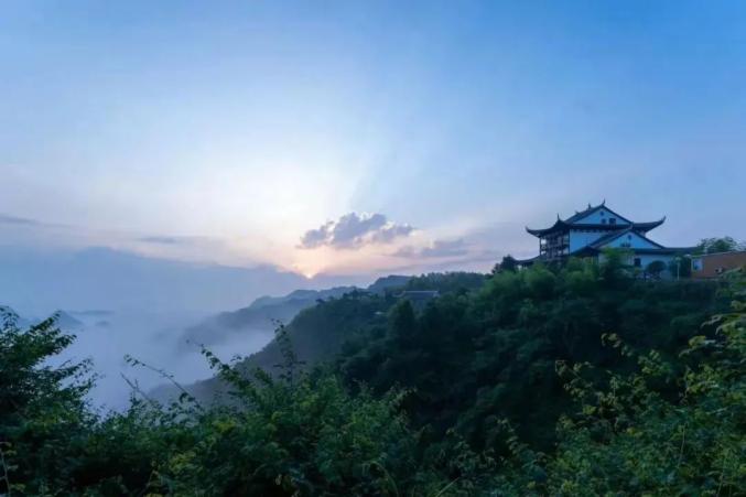 开阳富硒茶标准