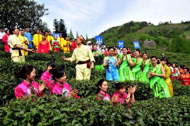 紫阳富硒茶翠锋