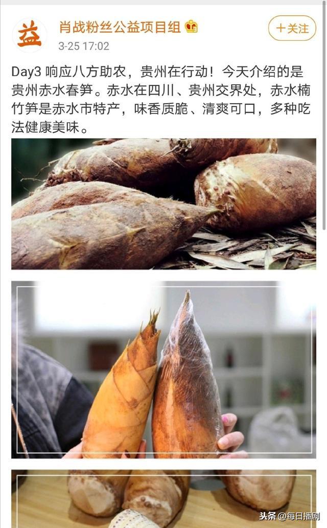 肖战推广富硒茶