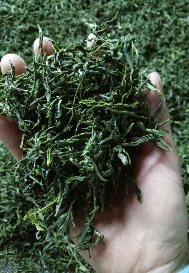 云坑富硒野生茶
