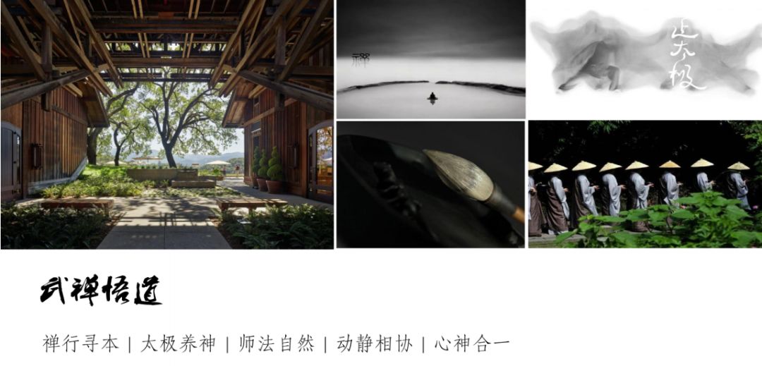 品悟非凡富硒茶