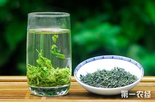 富硒茶哪儿的好