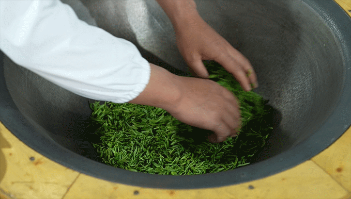 紫阳富硒茶茗安