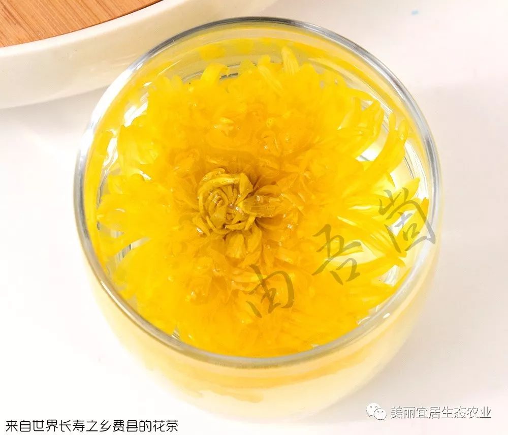 富硒金丝皇菊茶