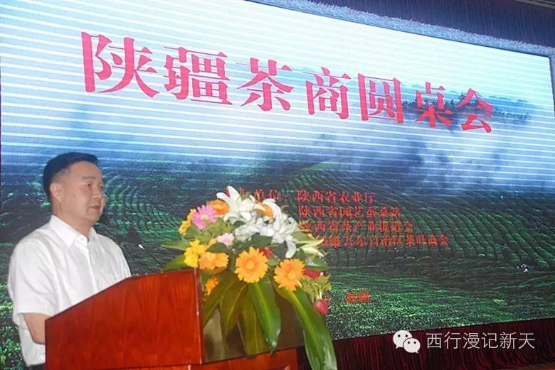 陕西焕古富硒茶