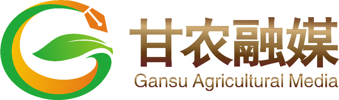 永昌富硒大麦茶