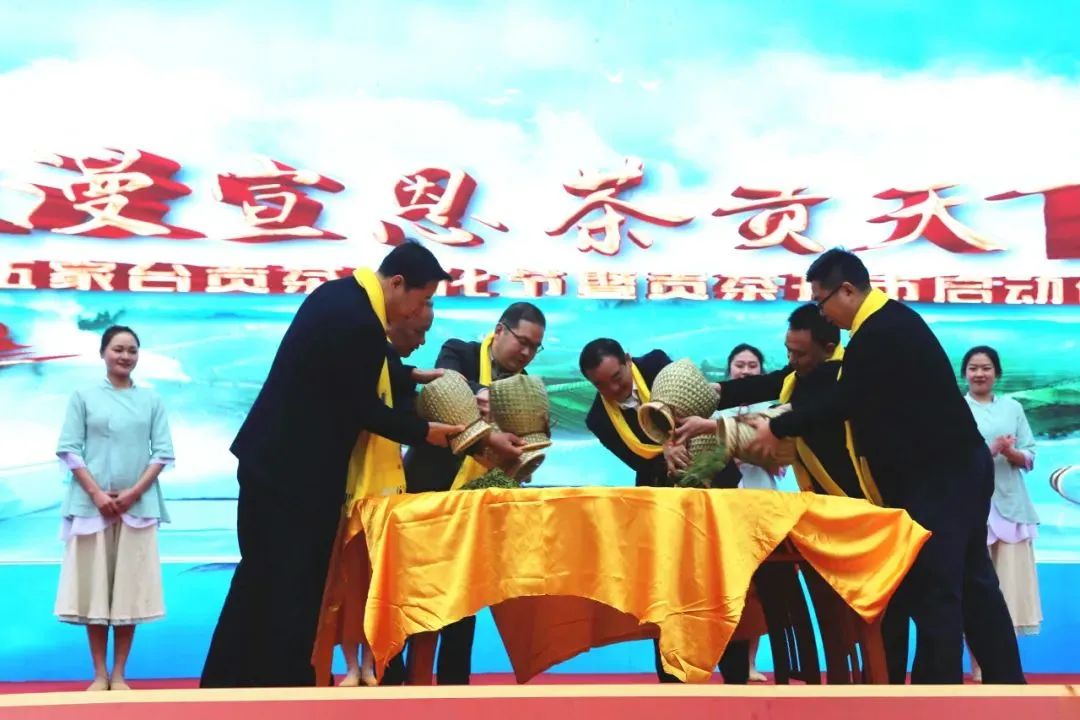 富硒茶专题报告