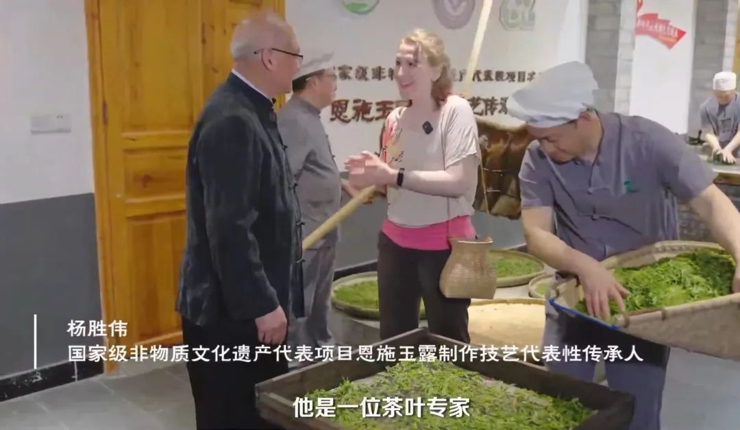 富硒茶专题报告