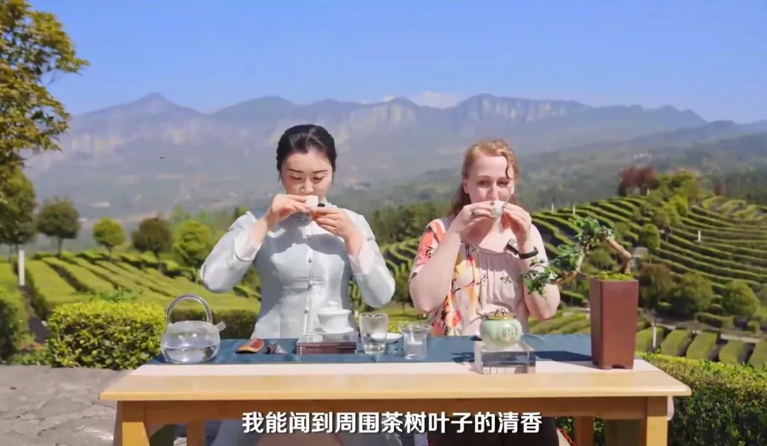 富硒茶专题报告