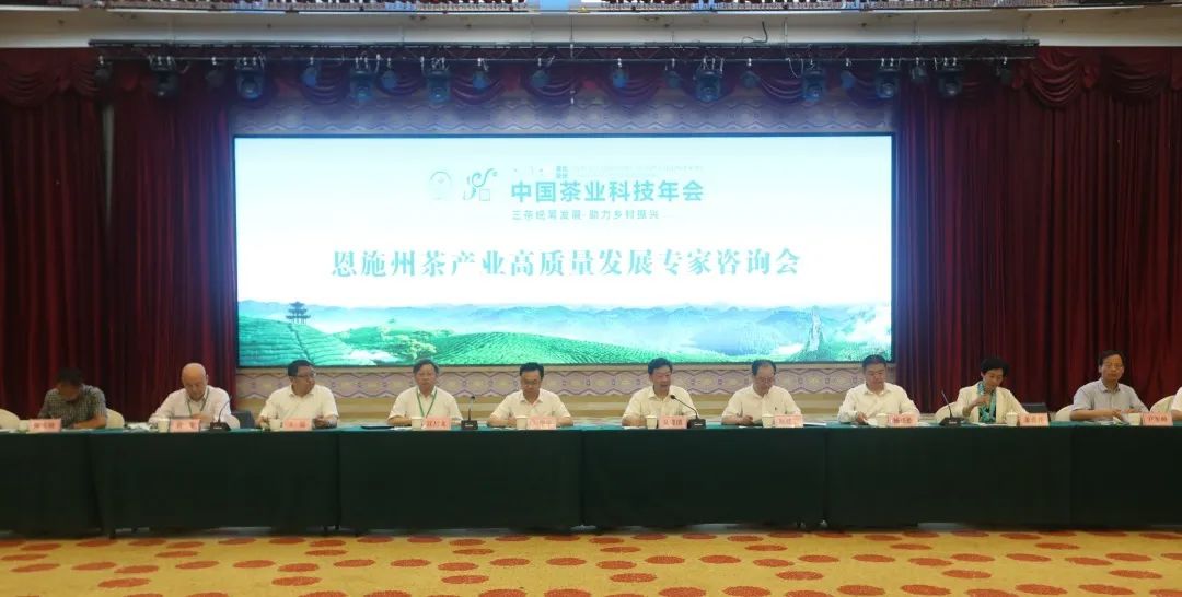 富硒茶专题报告