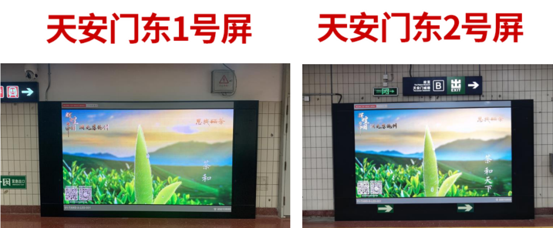 富硒茶专题报告