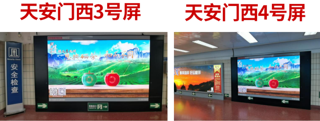 富硒茶专题报告