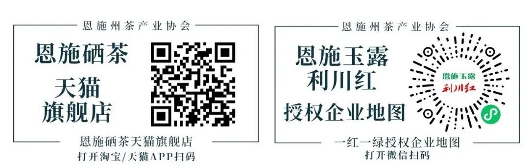 富硒茶专题报告