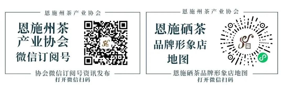 富硒茶专题报告