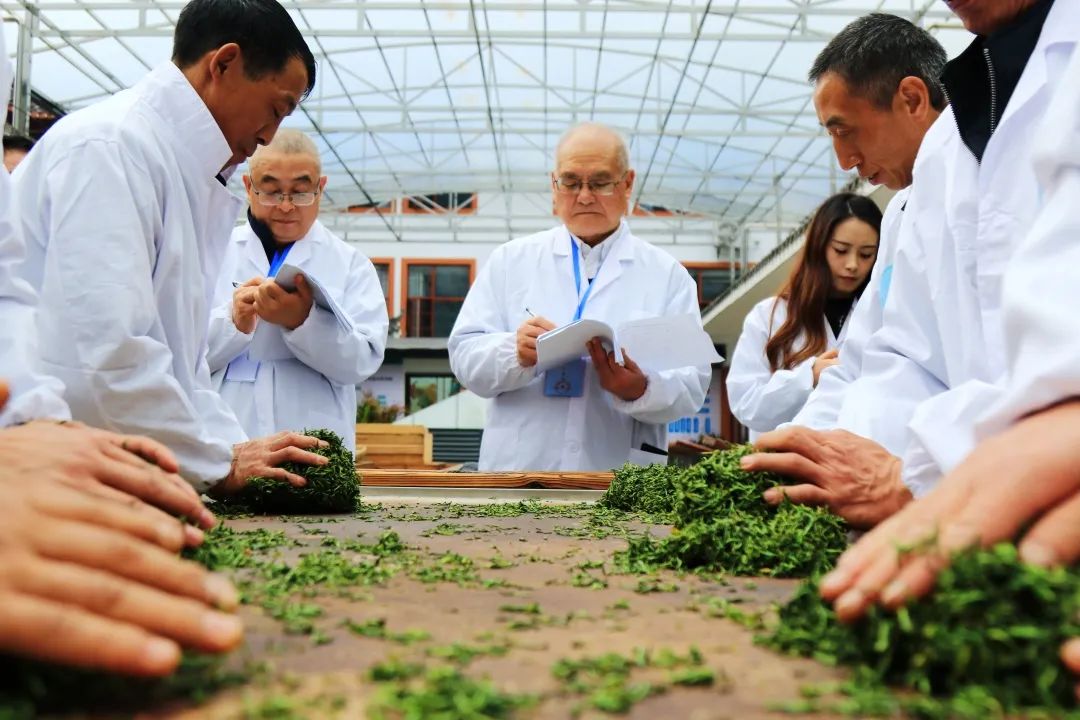 富硒茶专题报告
